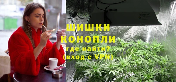 PSILOCYBIN Алзамай