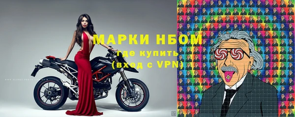 PSILOCYBIN Алзамай